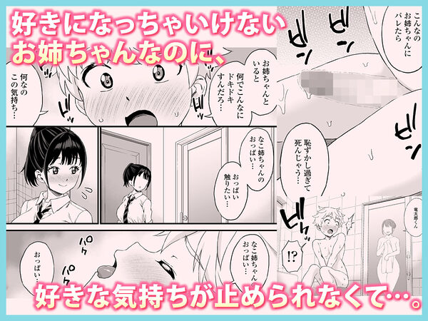 義理のお姉ちゃんとセックスする話 画像3