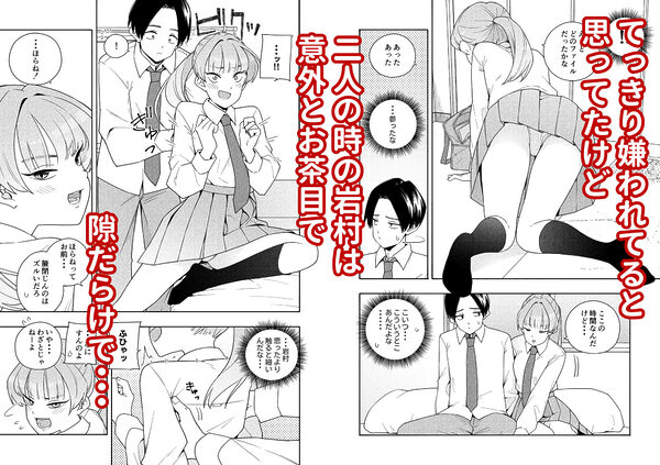 カムフラージュ 画像2